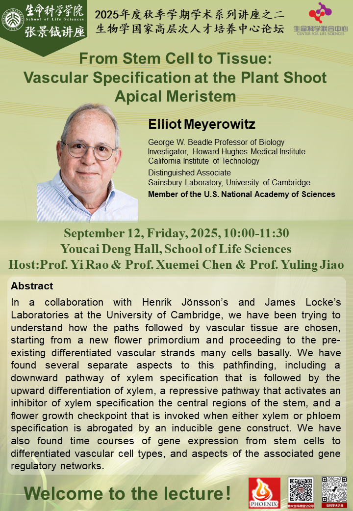 9.12-Elliot Meyerowitz.png